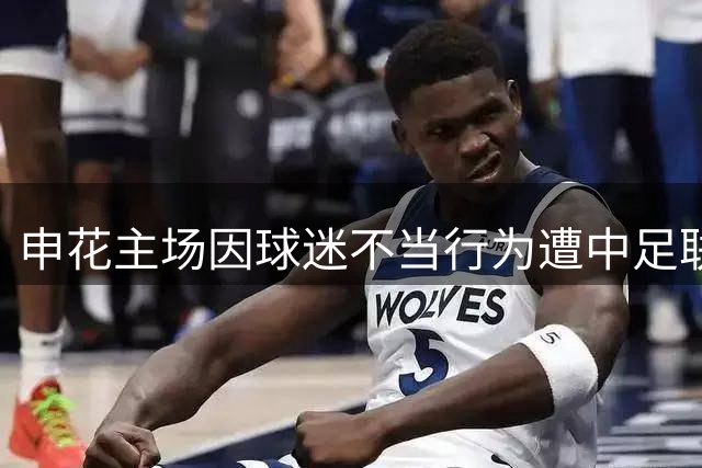 申花主场因球迷不当行为遭中足联处罚 俱乐部回应引争议