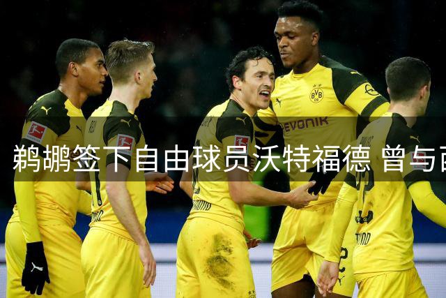 鹈鹕签下自由球员沃特福德 曾与西甲球队谈判