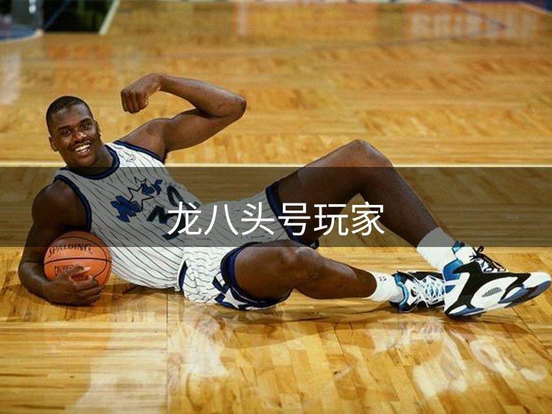 龙八头号玩家介绍